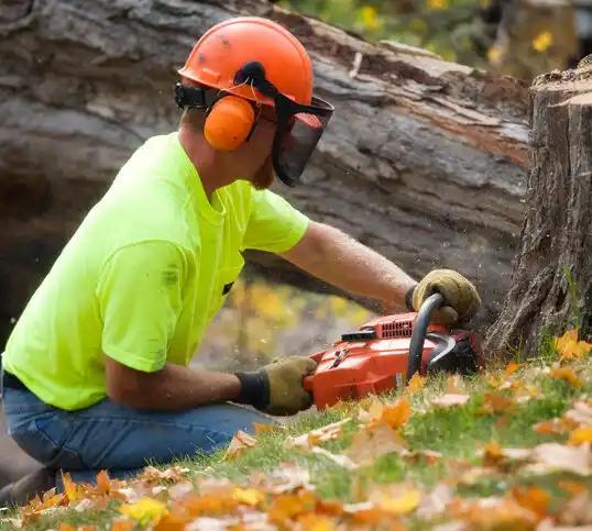 tree services Dulce